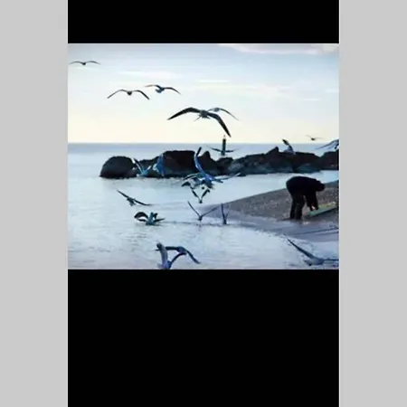 Sea Lovers Italy Appartamento