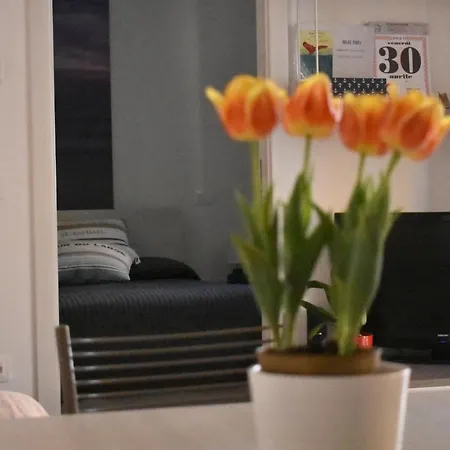 Sea Lovers Italy דירה *